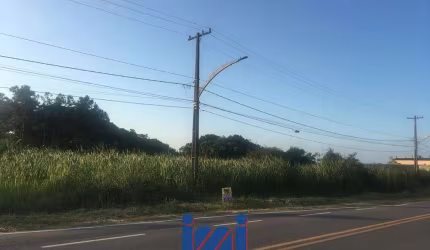 TERRENO FRENTE A RODOVIA EM PONTAL DO SUL