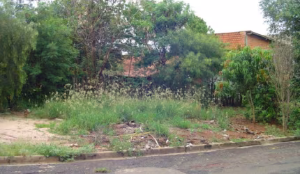 Terreno à venda, 324 m² por R$ 200.000,00 - Cardeal - Elias Fausto/SP
