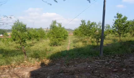 Sítio com 2 dormitórios à venda, 48000 m² por R$ 10.000.000,00 - Mato Dentro - Indaiatuba/SP
