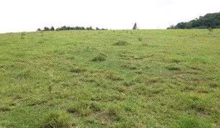 Área à venda, 60000 m² por R$ 9.000.000,00 - Helvétia Country - Indaiatuba/SP