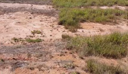 Terreno, 375 m² - venda por R$ 450.000,00 ou aluguel por R$ 2.200,00/mês - São Venâncio - Itupeva/SP