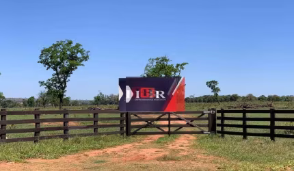 Fazenda em Ribas do Rio Pardo - MS