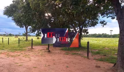 Fazenda em Ribeirão Cascalheira - MT