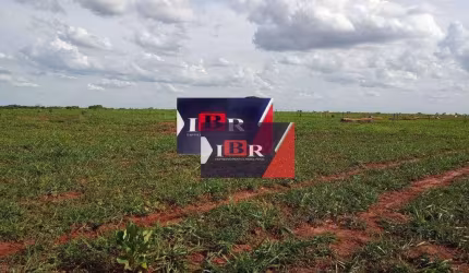 Fazenda em Campo Grande -MS