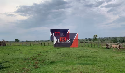 Fazenda em Ribas do Rio Pardo - MS