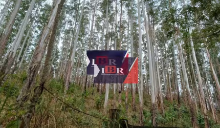 Fazenda em Juiz de Fora - MG
