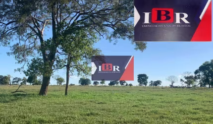 Fazenda em Nova Andradina– MS
