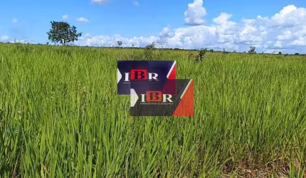Fazenda em Alto Araguaia - MT