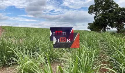 Fazenda em Araraquara - SP