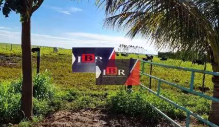 Fazenda em Lizarda - TO
