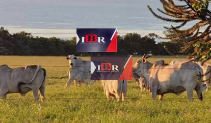 Fazenda em Presidente Prudente - SP