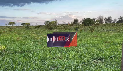 Fazenda em Sonora - MS