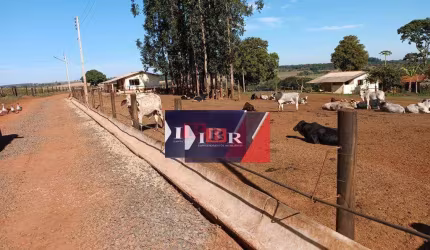 Fazenda em Avaré - SP