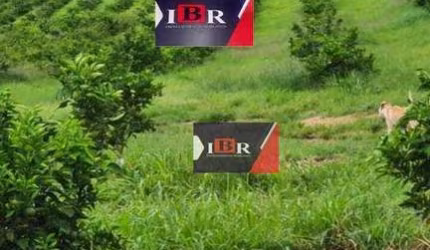Fazenda em Campina Verde - SP