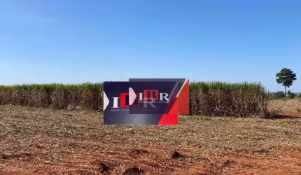 Fazenda em Pereira Barreto - SP