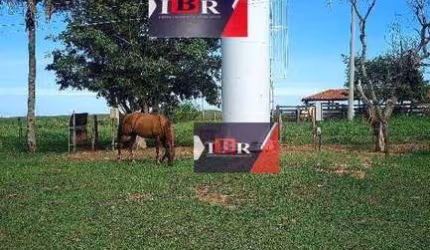Fazenda em Araçatuba - SP