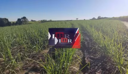 Fazenda em Sorocaba - SP
