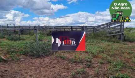 Fazenda em Mambai - GO