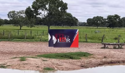 Fazenda em Ribas do Rio Pardo - MS