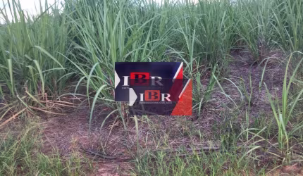 Fazenda em Lins - SP