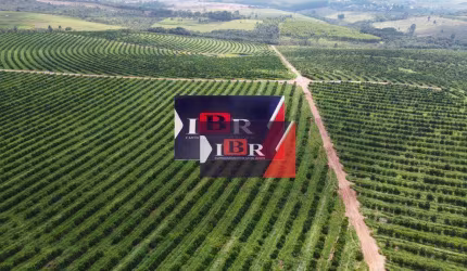 Fazenda em Avaré - SP