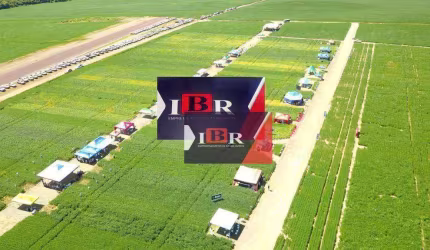 Fazenda em Paranatinga - M