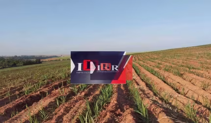 Fazenda em Lins - SP