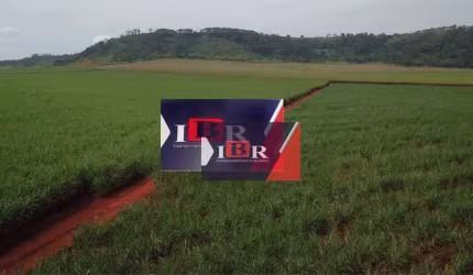 Fazenda em Ribeirão Preto - SP
