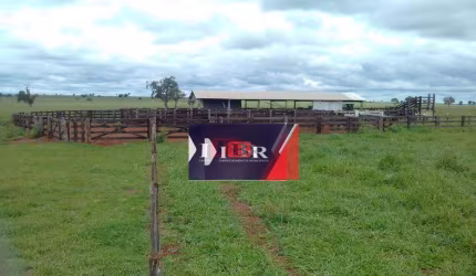 Fazenda em Nova Alvorada do Sul - MS