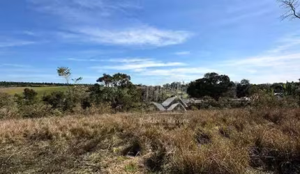 Terreno à venda, 26000 m² por R$ 490.000,00 - Borda da Mata - Caçapava/SP