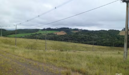 Terreno à venda, PIRIQUITOS, PONTA GROSSA - PR