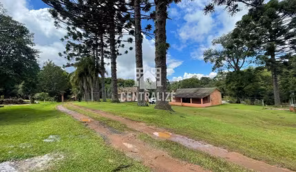 VENDA-CHÁCARA-GUARAGI-PONTA GROSSA - PR