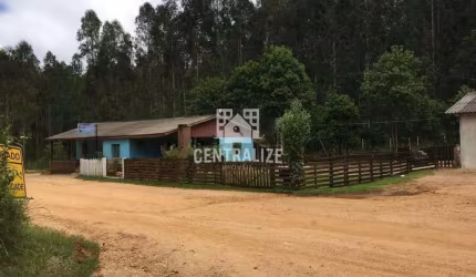 Sítio à venda, 2 imóveis, sendo 1 casa com ponto comercial, ABAPÃ, CASTRO - PR