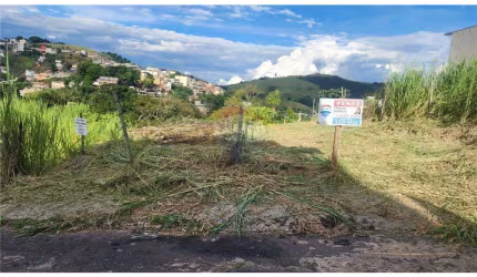 Excelente oportunidade de adquirir Terreno/Lote  à venda, 388 m² rua sem saida  no bairro Vila Ideal, perto da Avenida Brasil