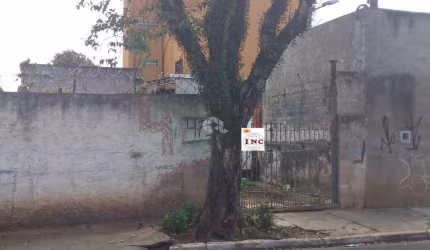 Terreno venda Vila Vivaldi 200 metros, plano