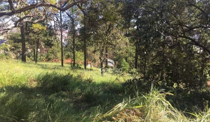 EXCELETE TERRENO NO CENTRO DE VÁRZEA PAULISTA  COM 424 M² SENDO 8X53 280.000,00  ( COM DECLIVE) ÓTIMA OPORTUNIDADE PARA QUEM BUSCA COMODIDADE.