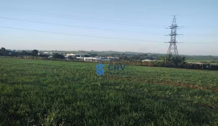 Sítio à venda, 12,5 alqueires por R$ 11.000.000 - Parque Industrial José Garcia Gimenes - Cambé/PR