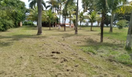Chácara com 2 dormitórios à venda, 6860 m² por R$ 550.000,00 - Centro - Primeiro de Maio/PR