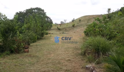 Chácara à venda, 5055 m² por R$ 350.000,00 - Itauna - Ibiporã/PR