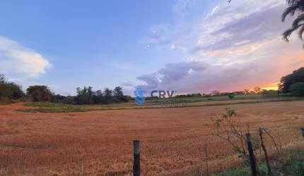 Sítio à venda, 48400 m² por R$ 1.995.000,00 - Cidade Industrial I - Londrina/PR