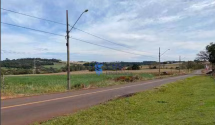 Sítio à venda,  Recanto do Salto - Londrina/PR
