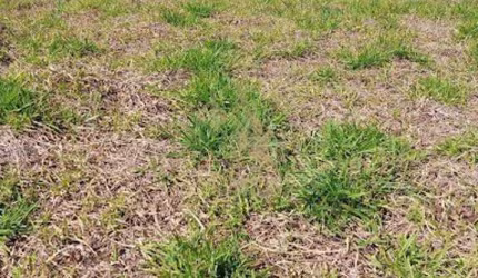 Terreno Residencial à venda, Atibaia Vista da Montanha, Atibaia - TE0051.