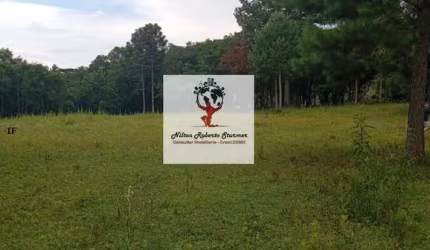 Terreno Rural para Venda em Fazenda Rio Grande, Passo Amarelo