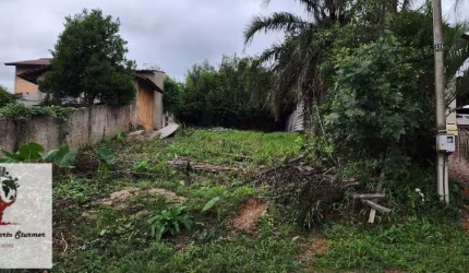 Terreno para Venda em Araucária, Centro