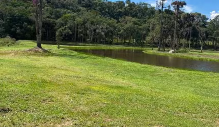 Chácara para Venda em Mandirituba, Areia Branca dos Asisis