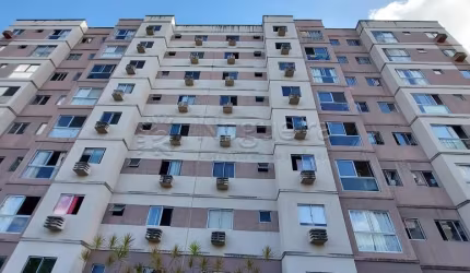 Apartamento/Padrão - Residencial - No bairro Tejipió -  Monte Ville
