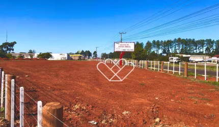 Terreno Premium em Frente à Havan em Gravataí: Oportunidade Exclusiva para Empreendedores de Visão