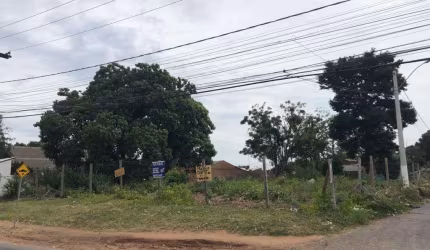 Terreno Espaçoso para Alugar no Bairro Barnabé!