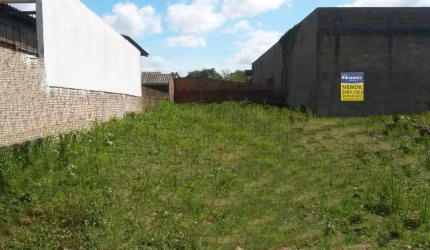 Terreno Espaçoso em Localização Privilegiada