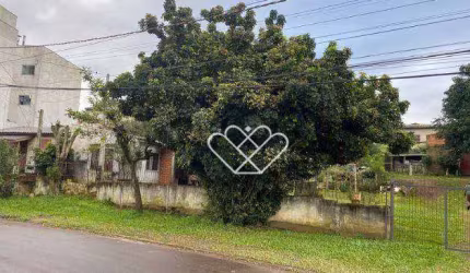 Terreno Amplo com Duas Casas – Ideal para Novo Lar ou Empreendimento